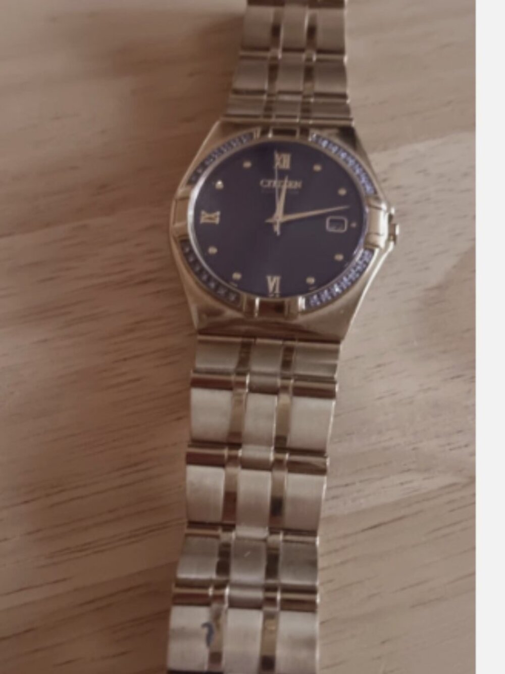 Citizens Eco-Drive Men's Watch Model E110-so8751